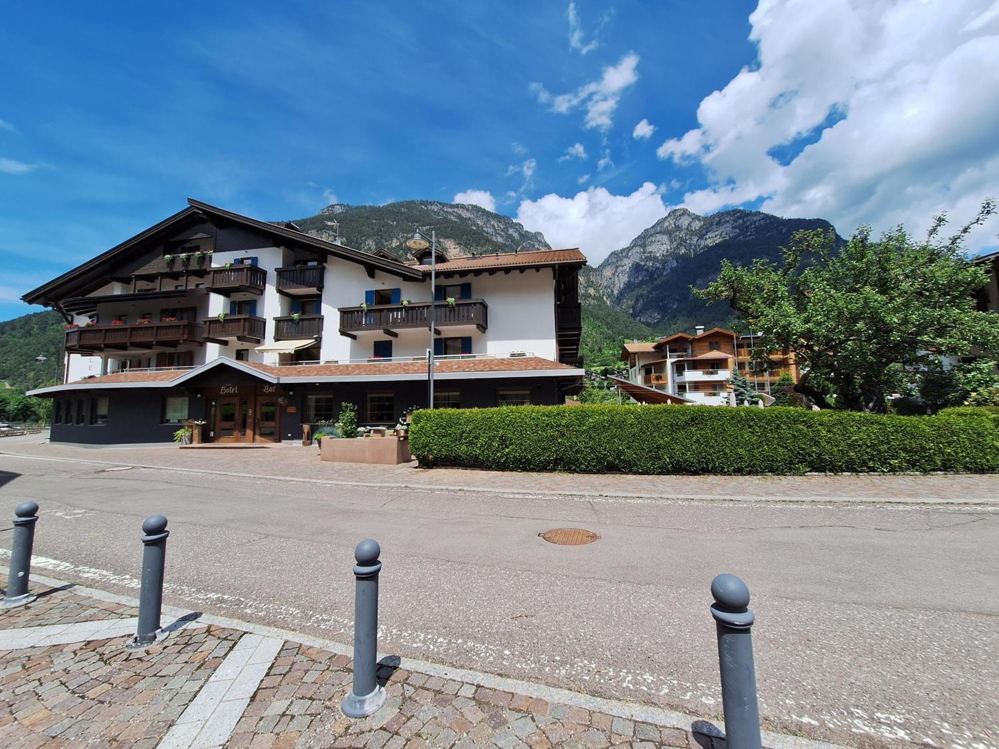 Hotel Nele Ziano di Fiemme Eksteriør billede