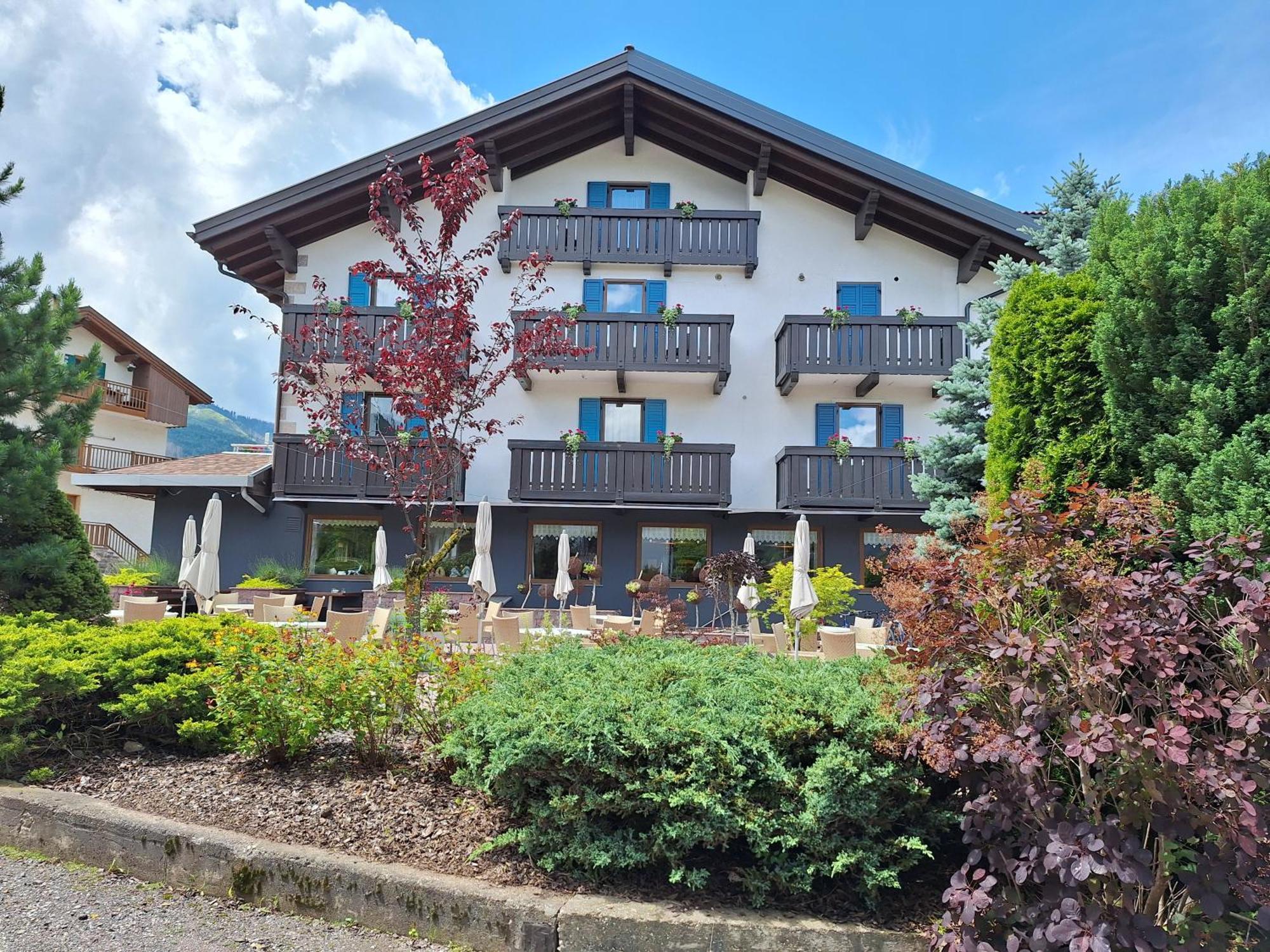 Hotel Nele Ziano di Fiemme Eksteriør billede